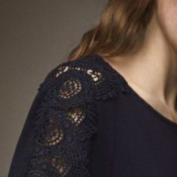 MASSIMO DUTTI Shift Dress with lace Detail. Sz M. Navy Blue. - Picture 3 of 9